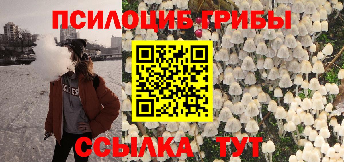 Кимры  Псилоцибиновые грибы GOLDEN TEACHER  Вход с VPN 