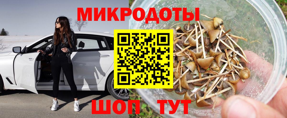 Псилоцибиновые грибы Psilocybine cubensis Кимры