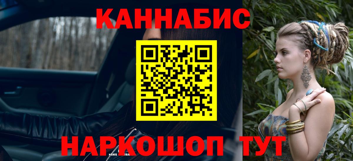 Каннабис OG Kush Кимры